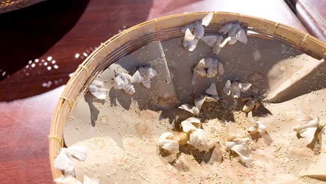 silk moths in a basket at khao yai