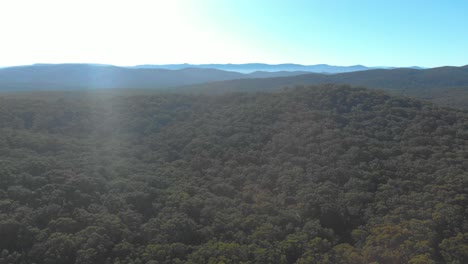 Toma-Aérea-Avanzando-Sobre-Montañas-Con-Eucaliptos-Verdes-En-Victoria-Australia