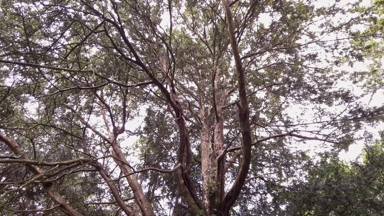 pasó algún tiempo en una casa señorial y los terrenos