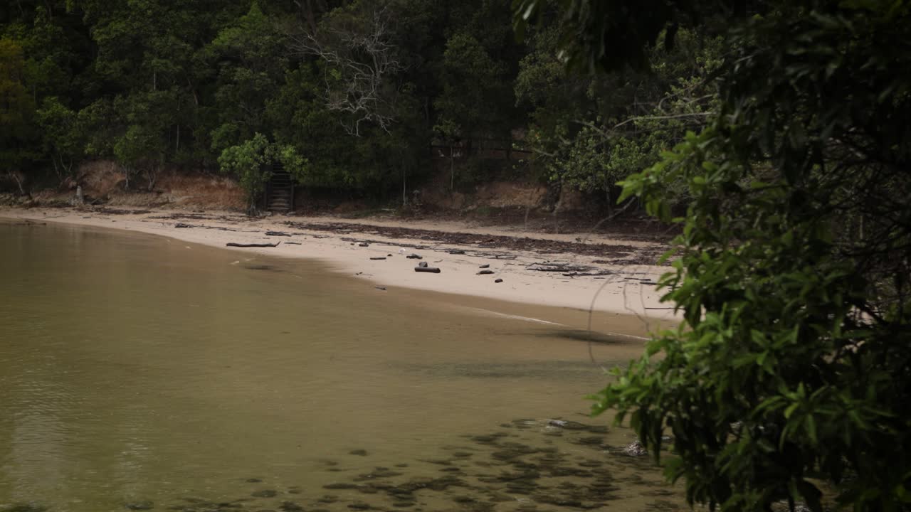 vistas a lo largo de las pistas de senderismo en burleigh heads parque nacional y playa en talebudgera creek