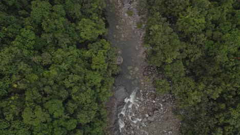 Narrow-River-Of-Mossman-Gorge-Amidst-The-Rainforest-In-QLD,-Australia