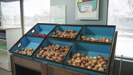 pan shot of ever day vegetables in food racks at a grocery store in minnesota, usa.