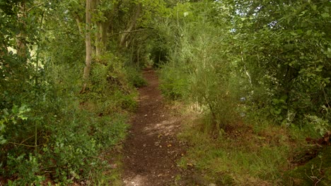 countryside-footpath-around-Sparham-Pools,-Nature-reserve