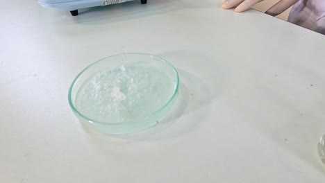 sodium acetate crystallization in a petri dish, observed over 27 seconds with gradual crystal formation