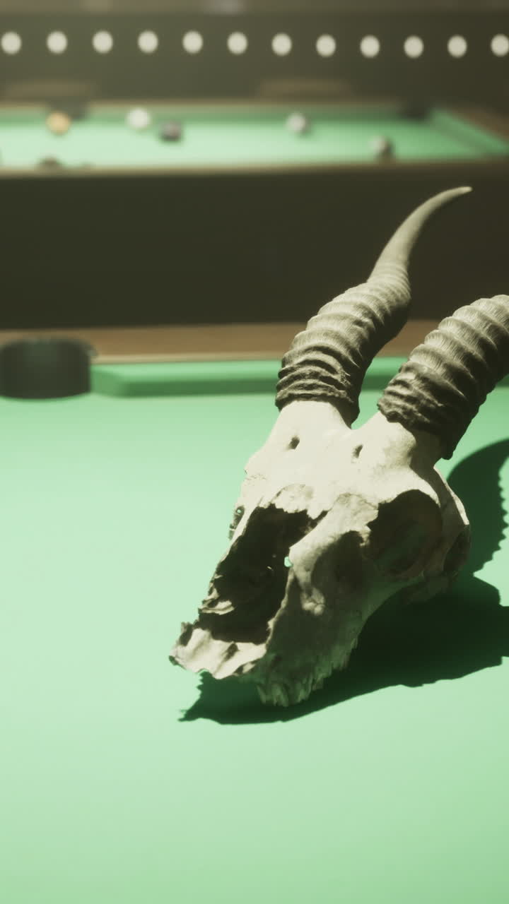 Skull with horns resting on a pool table in a lively game venue
