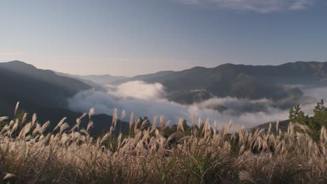 sunrise over the iya valley in shikoku, japan