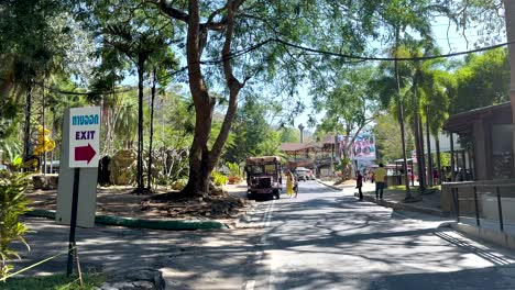 visitors stroll through zoo entrance area