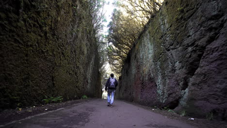 bewitching enchanting cave depths anaga tenerife island spain