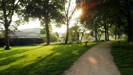 push in towards warm sunlight breaking through trees alongside pathway behind residential property