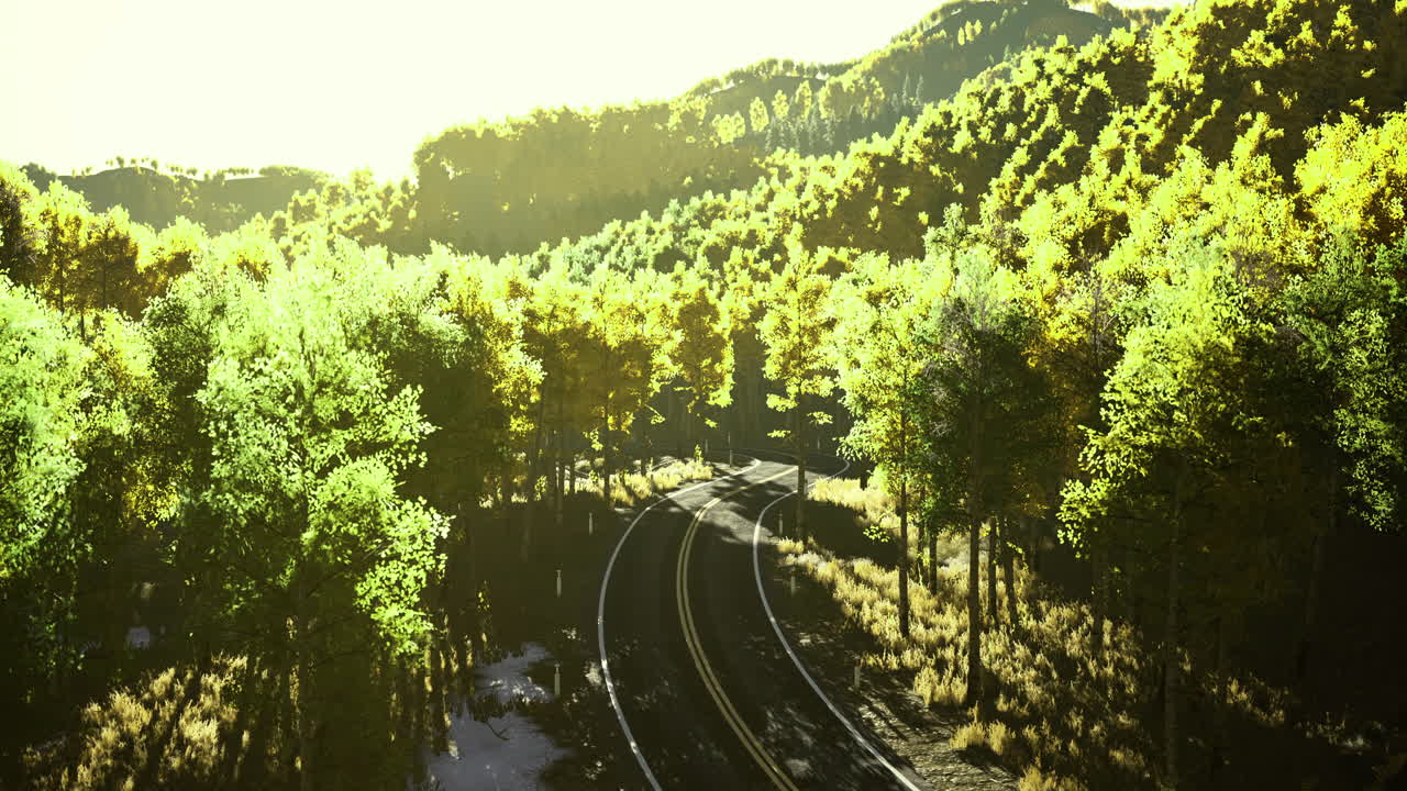 Sunrise over vibrant forest with winding train tracks in peace