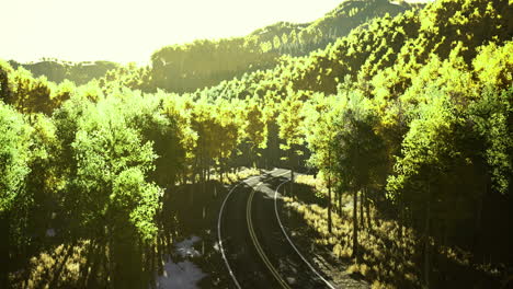 sunrise over vibrant forest with winding train tracks in peace