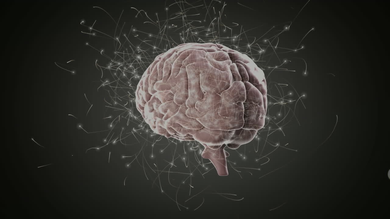 animación del cerebro girando sobre un fondo verde y negro con conexiones neuronales
