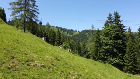 Steep-rope-way-leading-up-a-mountain-in-the-Alps-in-Lofer