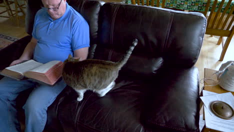 as a senior man reads the holy bible, his pet cat rubs against him trying to get attention