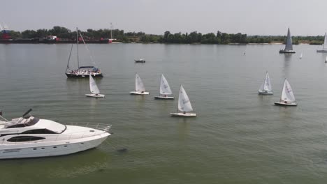 regata de vela fluvial