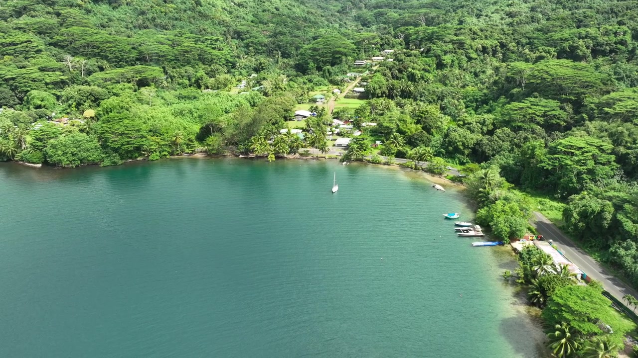 Baia panoramica circondata da una vegetazione lussureggiante a Moorea, Polinesia Francese.