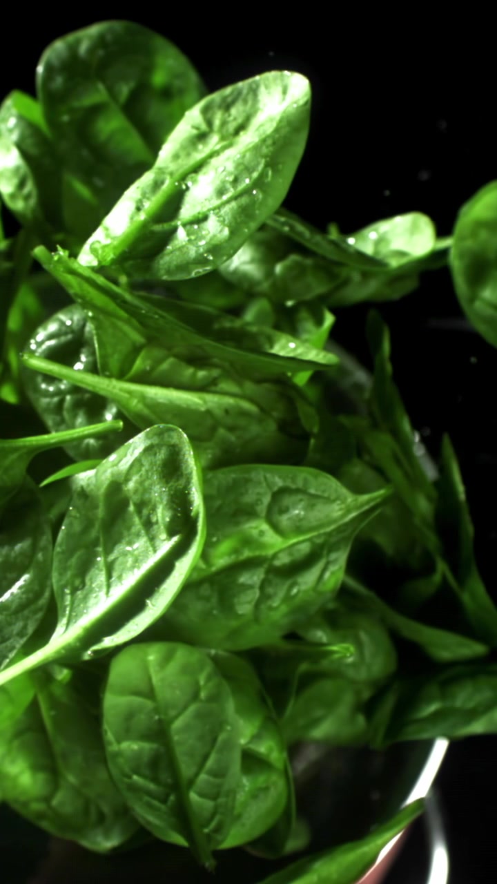 Primo piano di foglie di spinaci fresche e bagnate su sfondo scuro