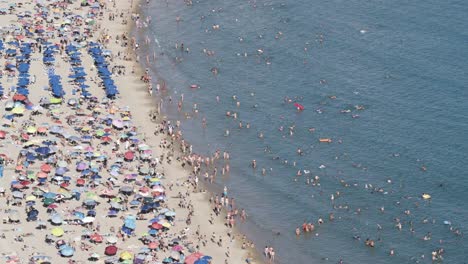 Crowded-Mediterranean-beach-from-above-seagull-flying-through-4K