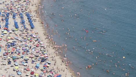 playa mediterránea llena de gente desde arriba gaviota volando a través de 4k