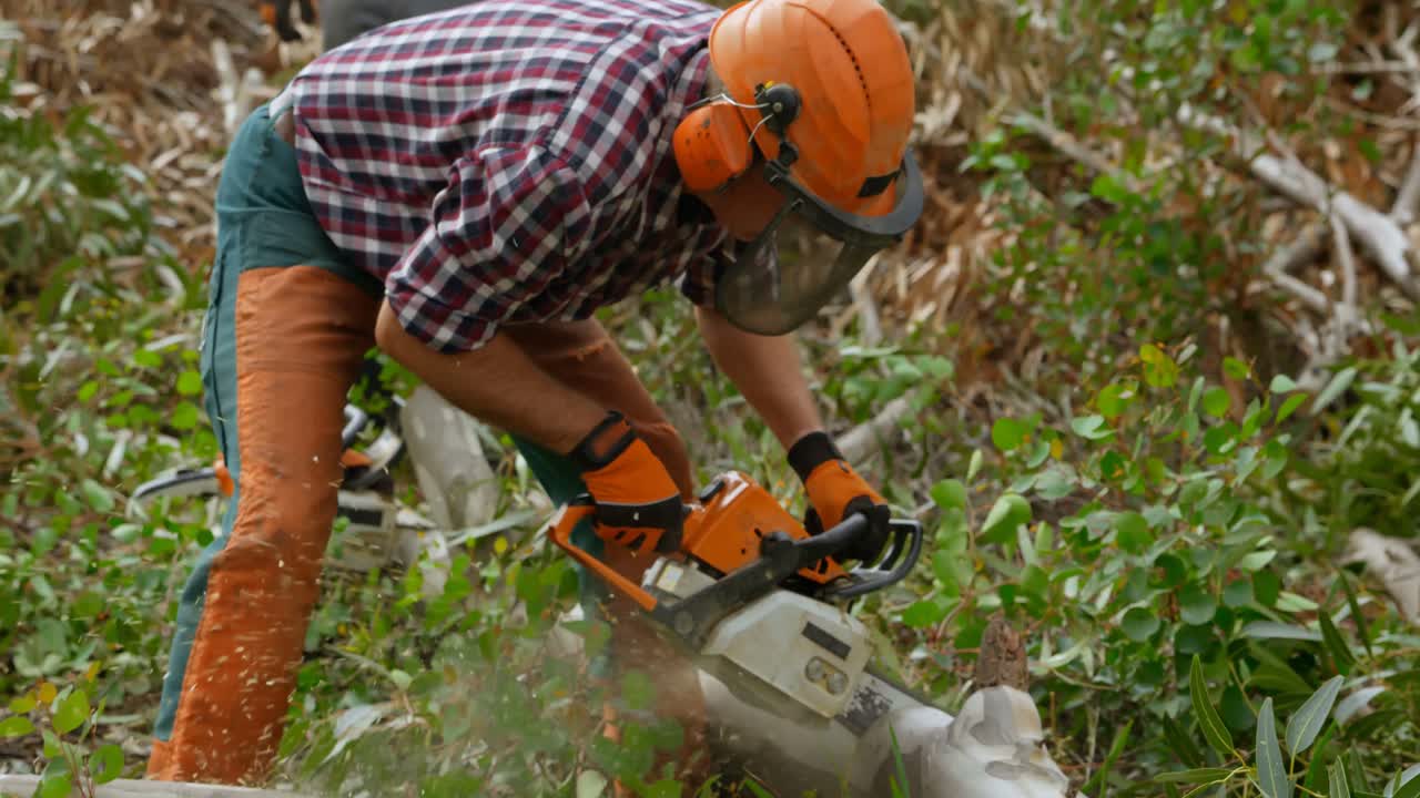 leñador cortando troncos de madera en el bosque 4k
