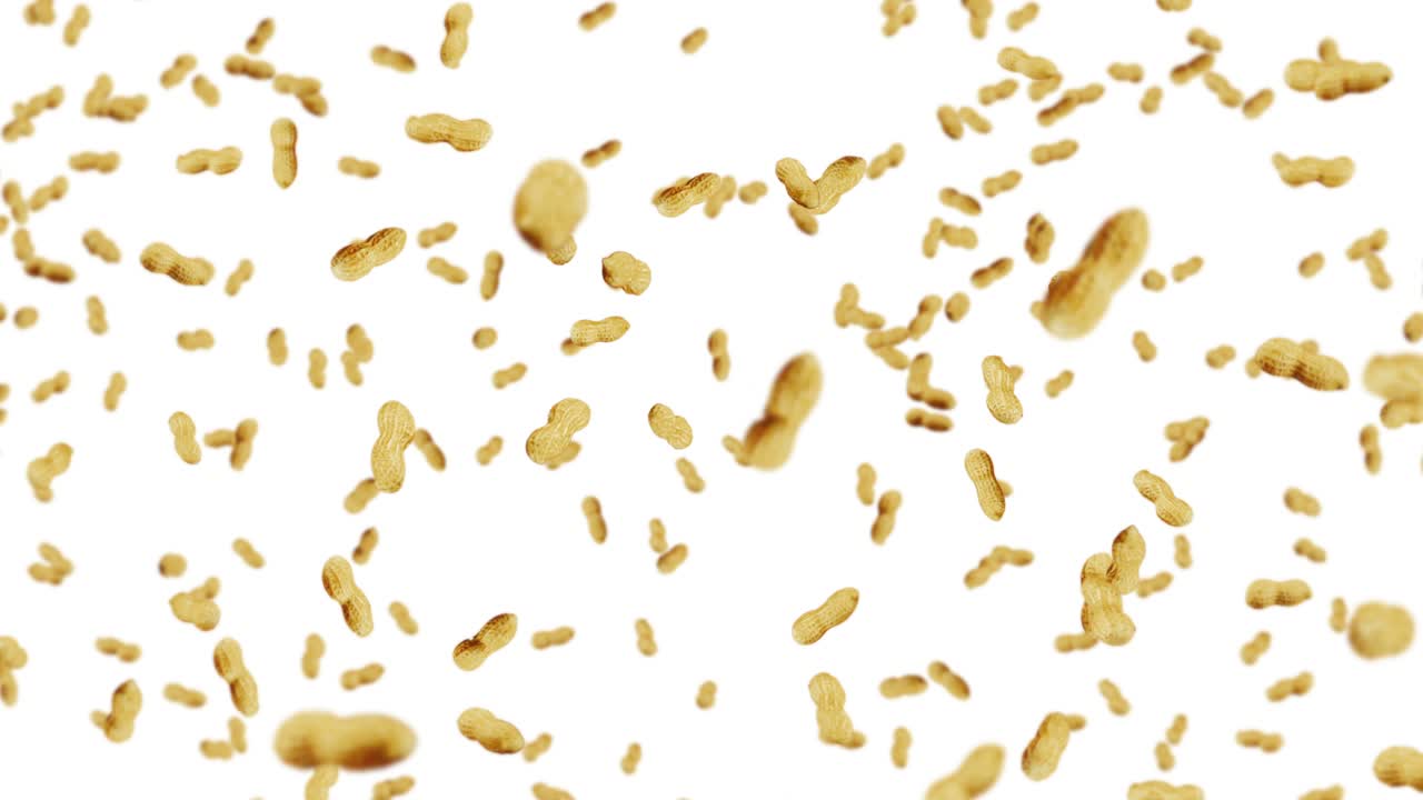 volare molte arachidi su sfondo bianco. arachidi crudi. arachidi in gusci. cibo biologico sano. animazione a ciclo 3d della rotazione dei semi.