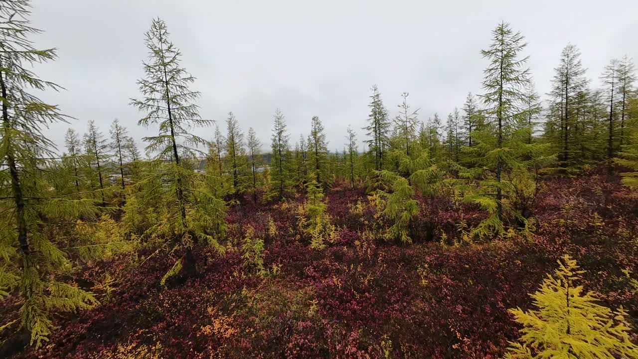 Opplev den fantastiske transformasjonen av Jakutias villmark når høsten maler landskapet i levende farger.