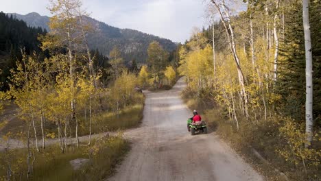 drone persiguiendo a jinete de atv a través del sendero del bosque utah montañas y bosques