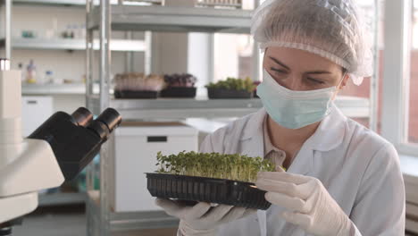 scientist examining microgreens in a laboratory