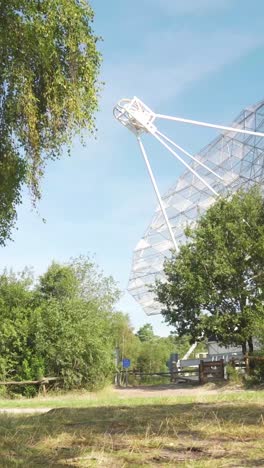 radio telescope in a forest