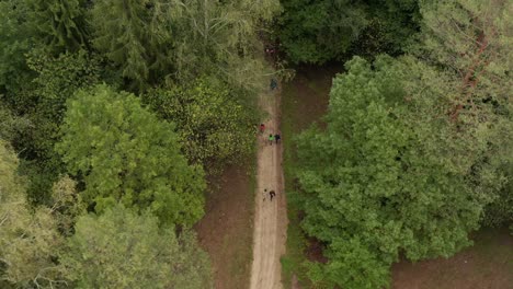 Caminata-En-El-Bosque