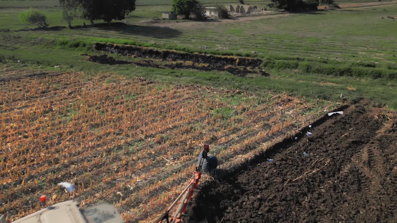 Plowing of land with tractor on farm and birds flying