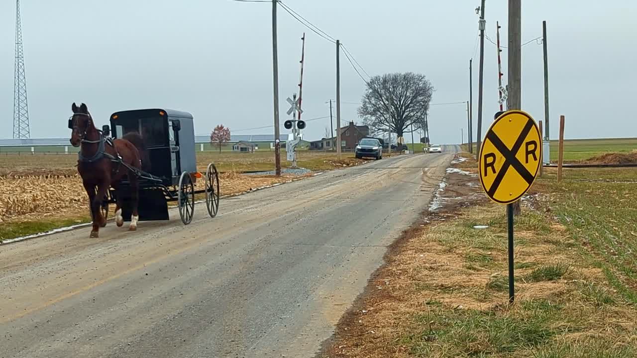 Uma carruagem puxada por cavalos move-se lentamente sobre os trilhos da ferrovia em uma área rural. Carros passam enquanto a paisagem apresenta campos e uma costa distante. O céu está nublado. É de manhã.
