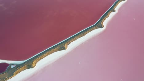 aerial view of magical vibrant pink colors, solar evaporation ponds by salt lake utah usa, birdseye drone shot