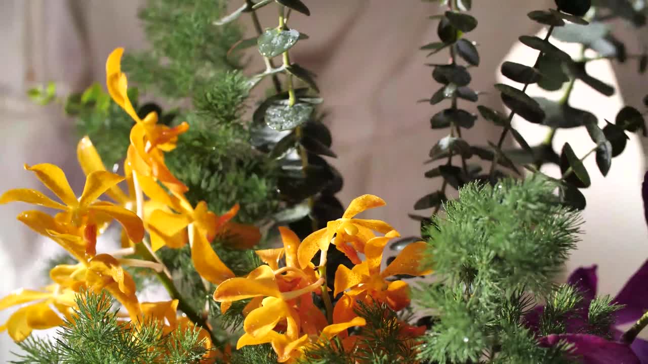 아름다운, 다채로운 오키디 꽃 배열, 근접