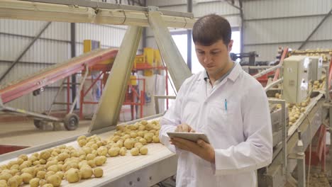 agricultural engineer working with his tablet examines potatoes.