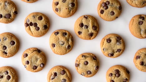 A delicious array of chocolate chip cookies