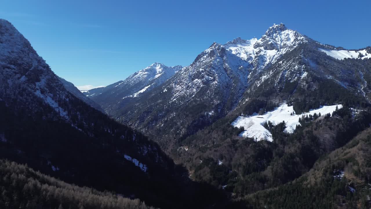 Vista aerea su una pineta tra un vasto paesaggio montano a fine inverno in Austria.