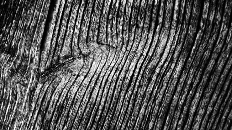 Animazione di forme in movimento su sfondo nero