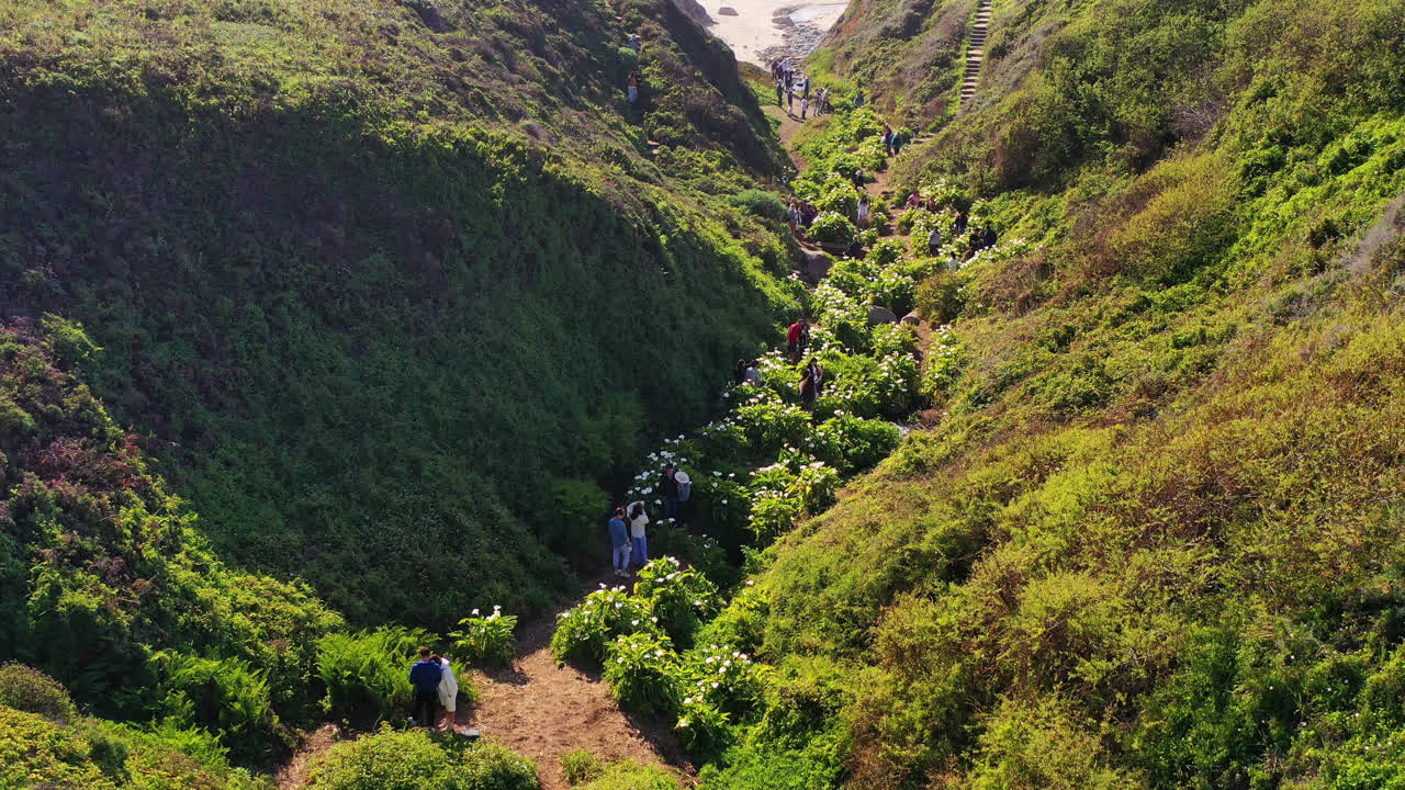 fantástica vista del valle de calla lily en la playa de garrapata