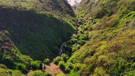 fantastic view of calla lily valley on garrapata beach