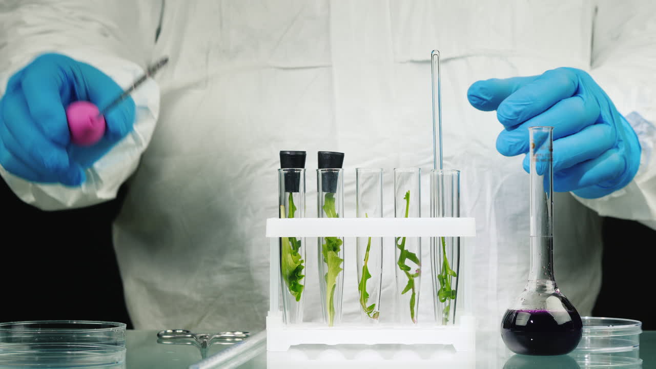 tiro macro de tubos de ensayo con plantas