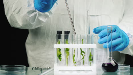 Macro-shot-of-test-tubes-with-plants