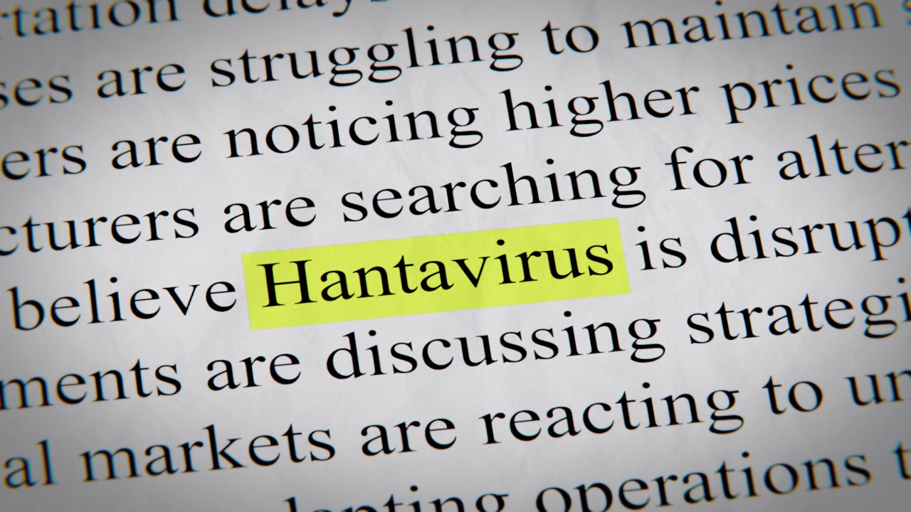 Minimal cinematic of Hantavirus text animation designed for documentary, economic, technology, and news-related storytelling.