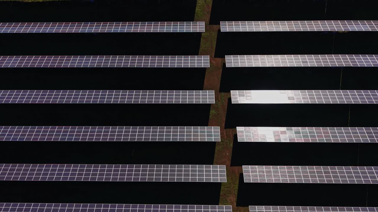 Pannelli solari disposti in file su un campo erboso in pieno sole