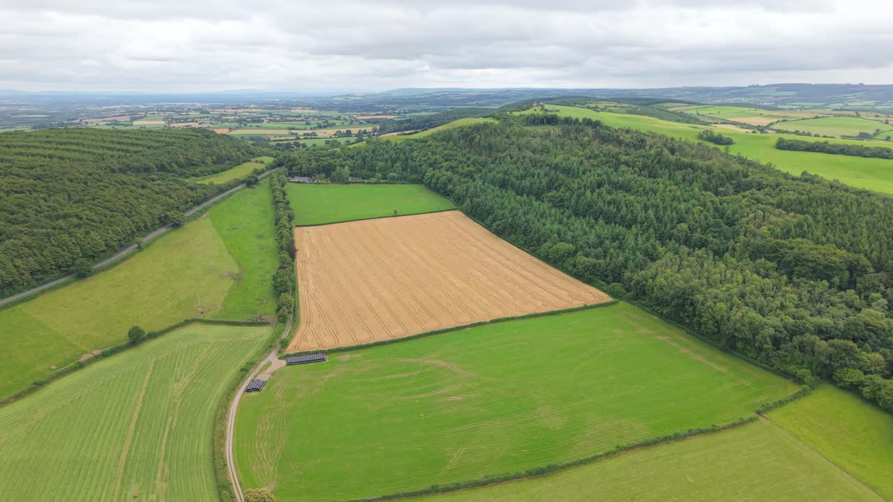 Aerial view of lush green fields in County Laoise, Ireland's countryside