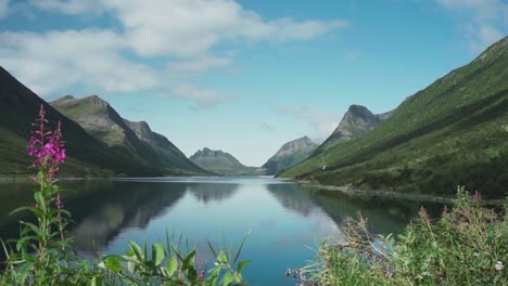 mountains reflecting on tranquil fjord in gryllefjord, senja, norway - wide