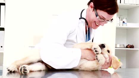 smiling female vet playing with cute puppy
