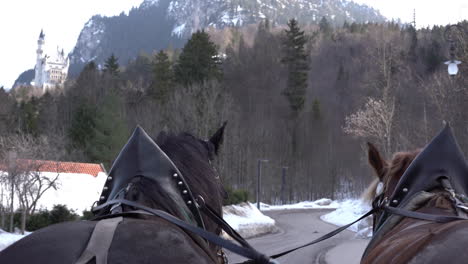 Bavarian-horses-carrying-group-of-tourists-for-a-ride-to-Neuschwanstein-castle-point-of-view-from-the-carriage-4k-footage