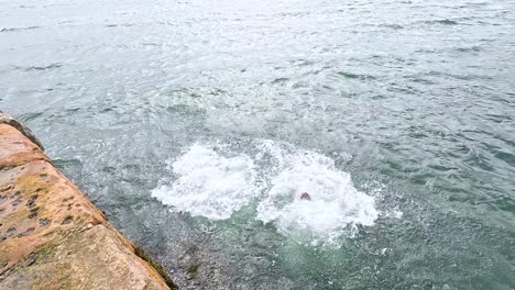 two people jump into the sea