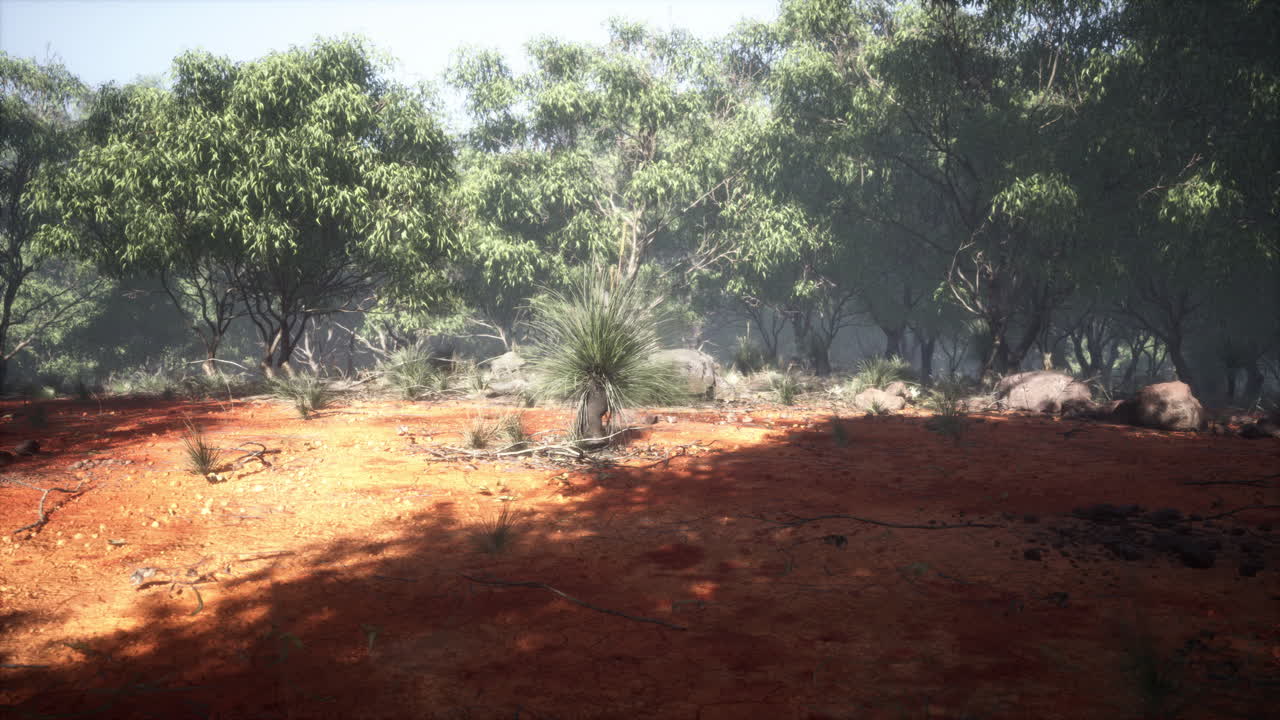 región de kimberley en australia occidental